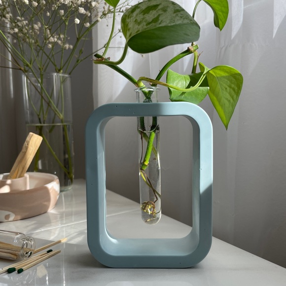 Propagation Vase - Picture 4 of 9